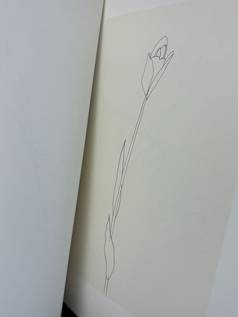 アート・デザイン・音楽 Ellsworth Kelly Plant Drawings