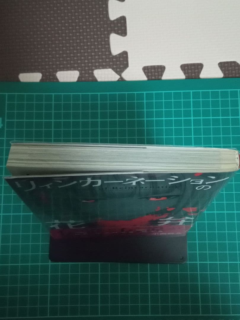 【初版】リィンカーネーションの花弁　1巻