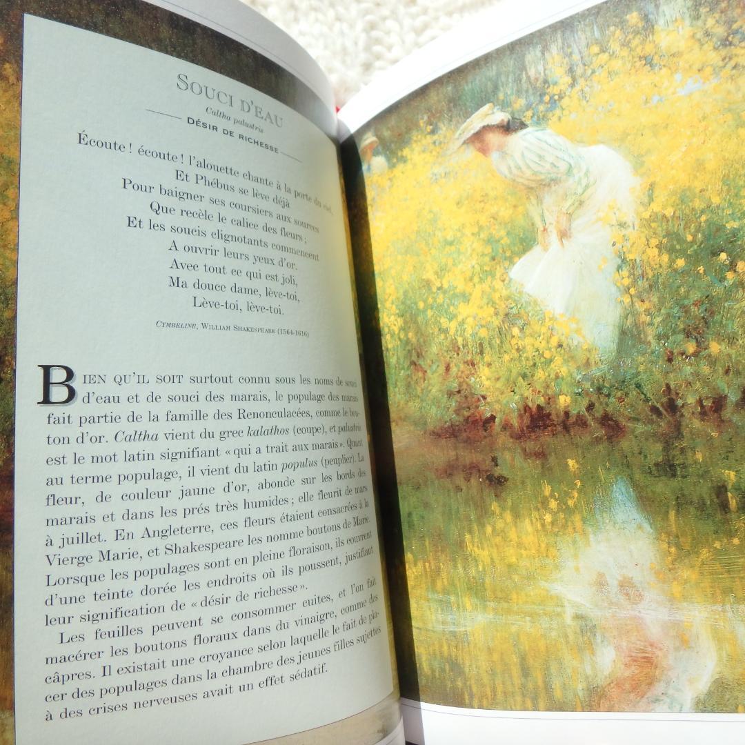 Le Langage des Fleaurs Sauvages　花言葉　仏語洋書