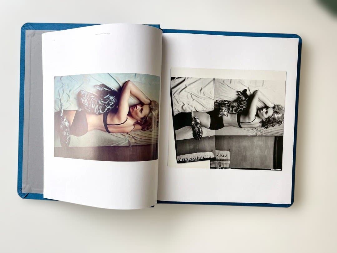 アート・デザイン・音楽 Amber, Guinevere & Kate 1993-2005