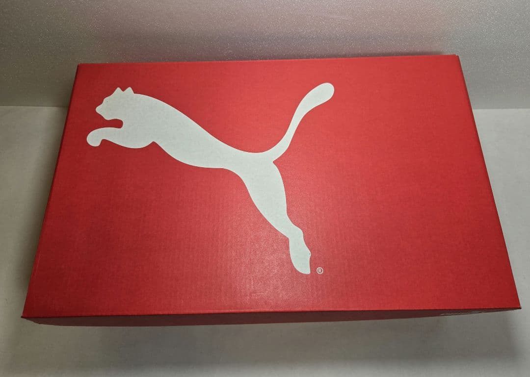 新品未使用・箱タグ付き　ディヴィエイト　ニトロ3 ウィメンズ　26cm