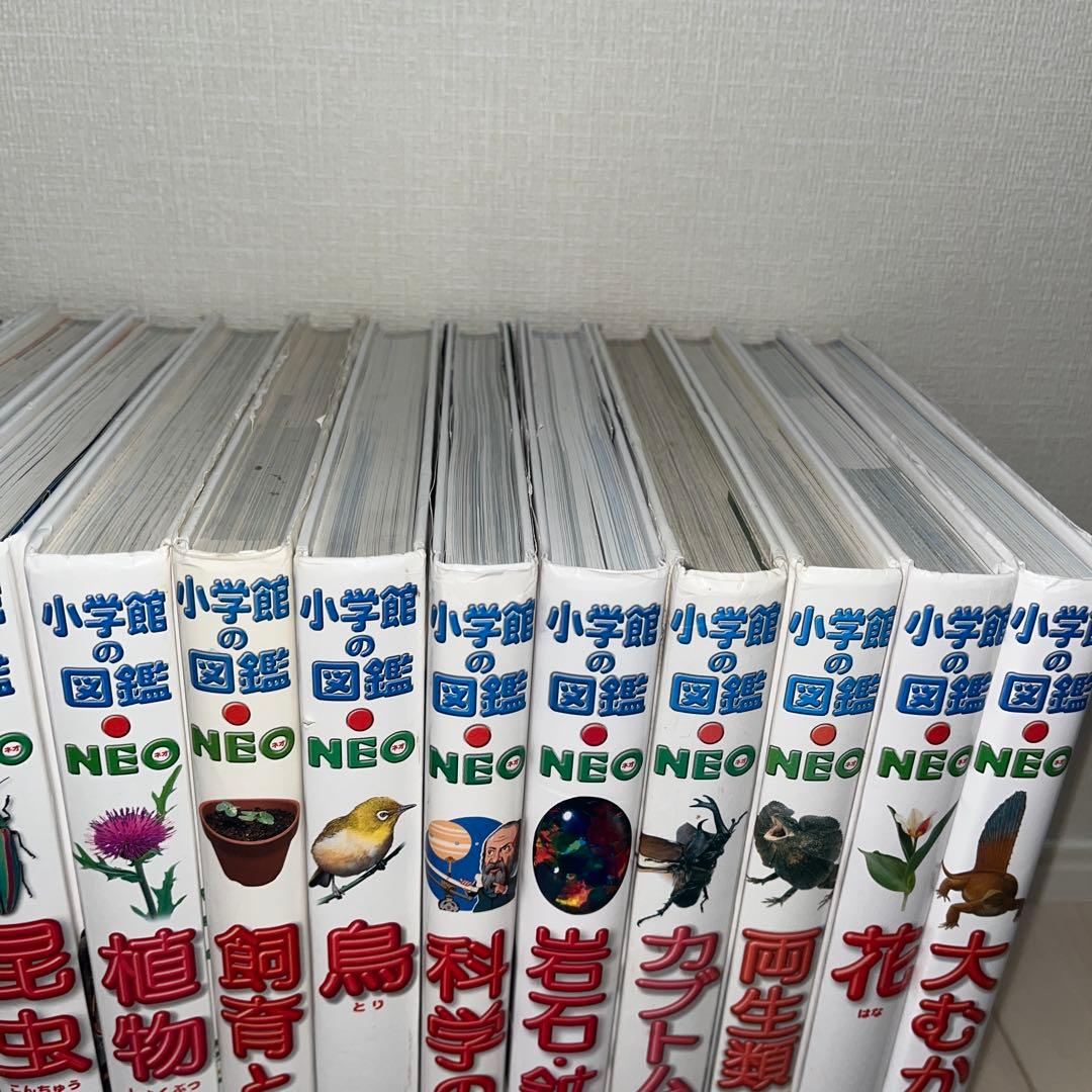 小学館図鑑NEO 15冊 セット 一部DVD付き