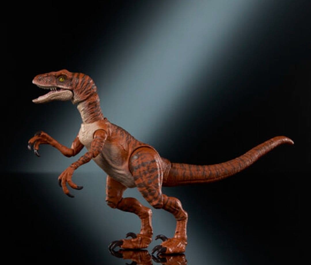 ハモンドコレクション　4個