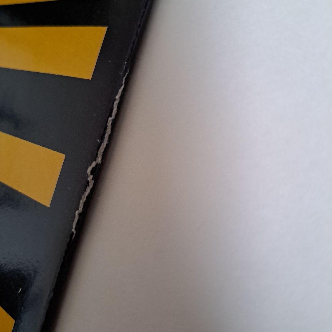 Toy Dolls トイドールズ LP2枚 パンク ロンドンナイト チバユウスケ