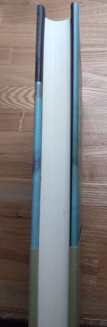 土台穴　アンドレイ・プラトーノフ　国書刊行会　亀山郁夫　訳