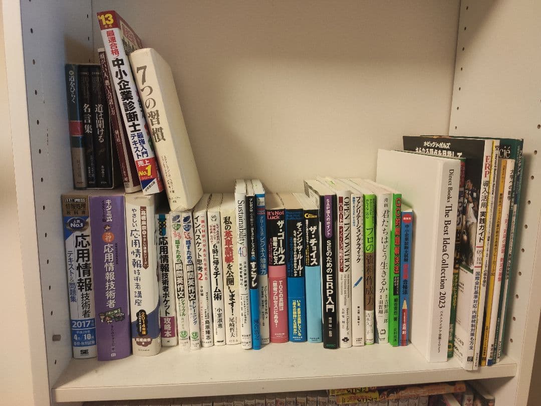 本約100冊セット(ビジネス、IT、資格など)