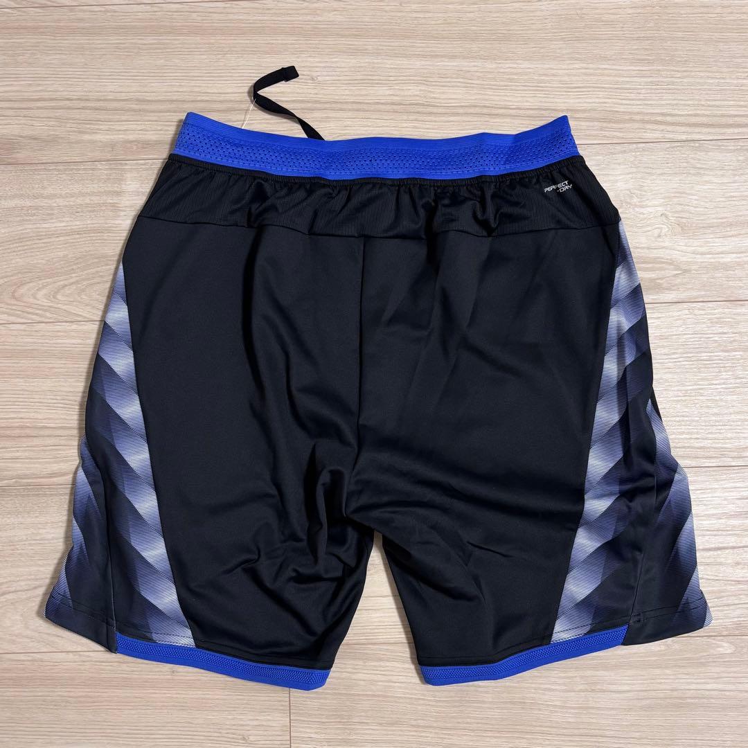 2026最新　日本未発売　リージージャ選手モデルショーツ　型番R60201黒　M