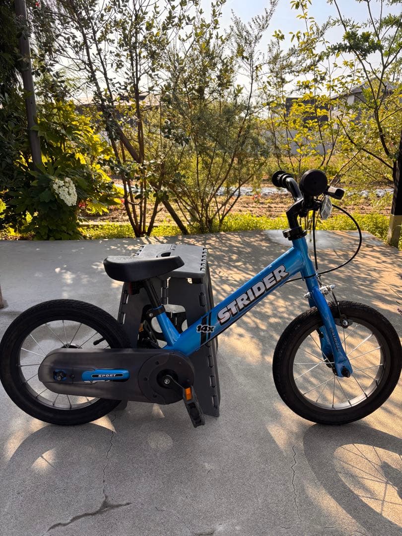 STRIDER 14X ブルー