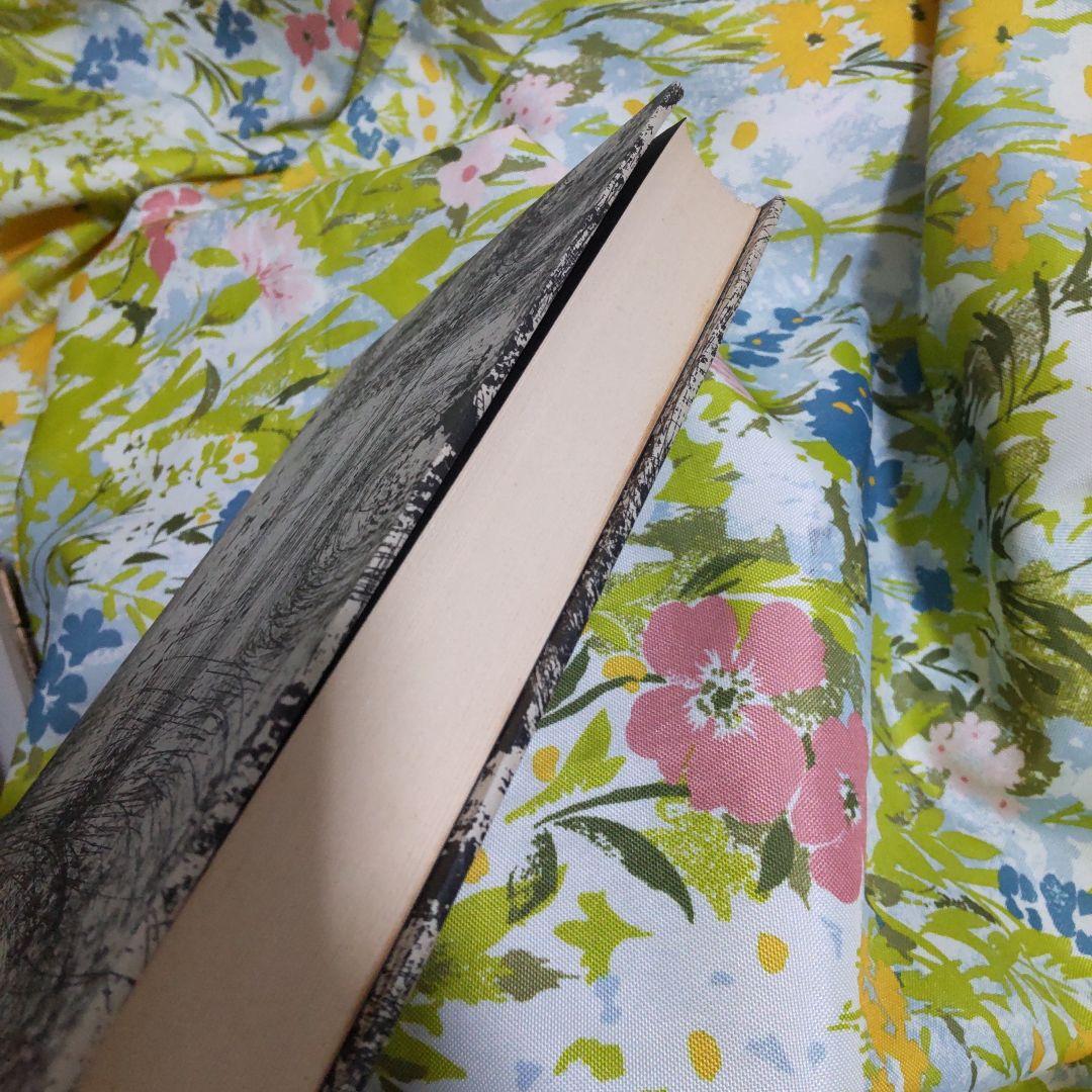 ランボオ全作品集 ハードカバー