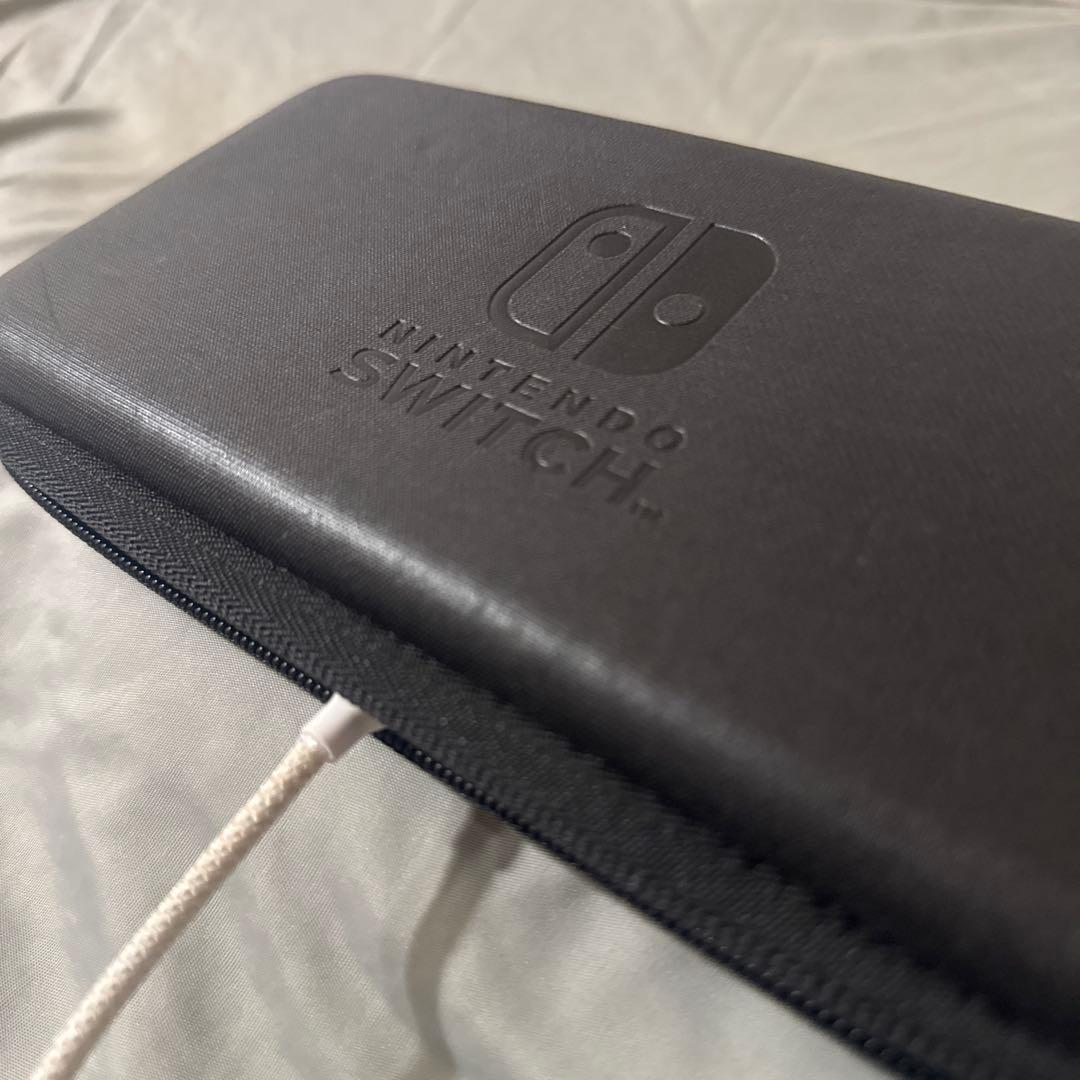 Switch ライト 本体