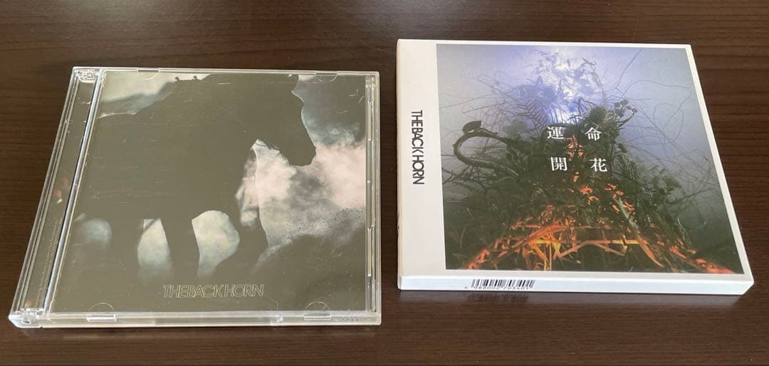 THE BACK HORN CD 14枚 初回限定盤多数 DVD付