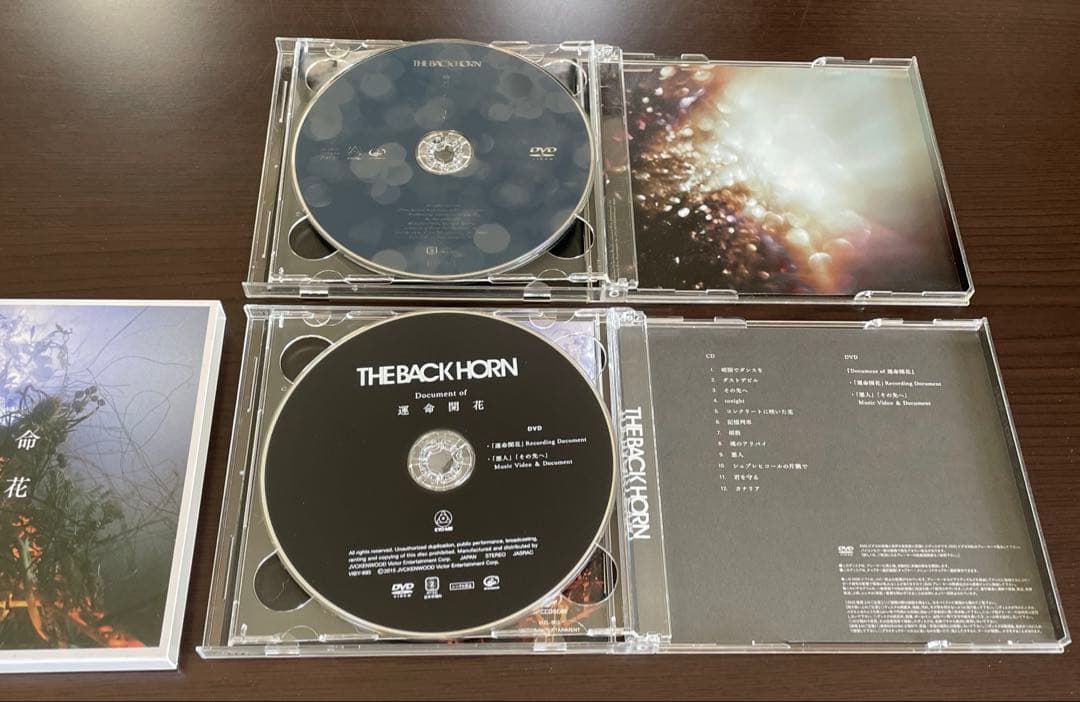 THE BACK HORN CD 14枚 初回限定盤多数 DVD付