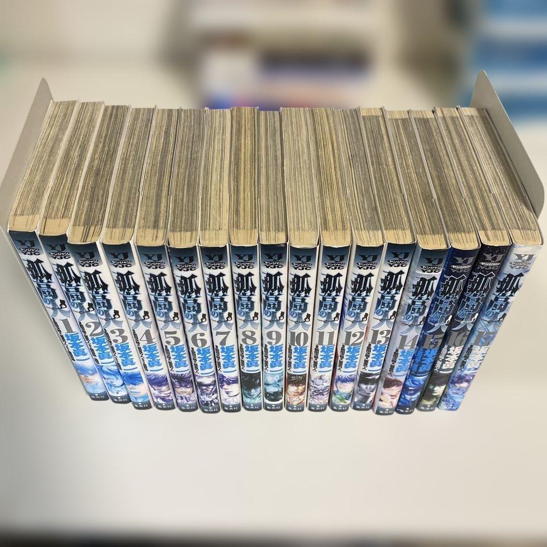 孤高の人　1〜17巻　全巻セット レンタル落ち　沖縄・離島配送不可