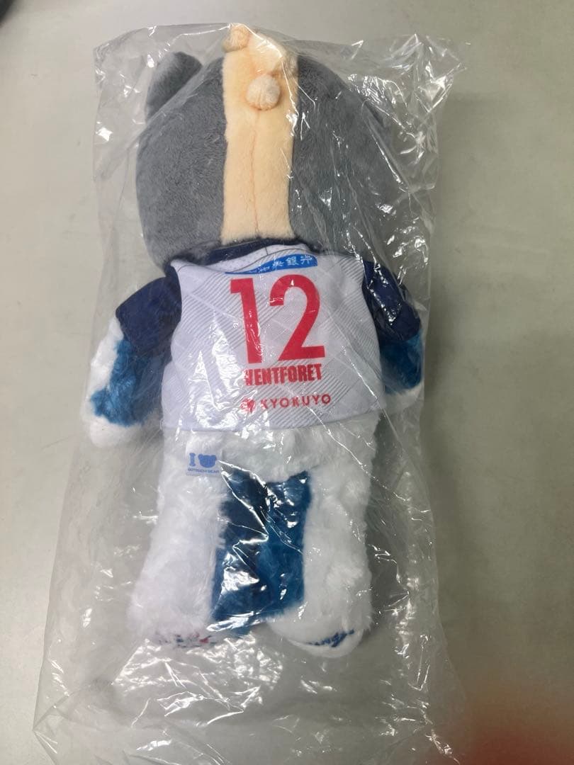 新品 60/30周年記念　ヴァンフォーレ甲府　ご当地ベア　ペアセット