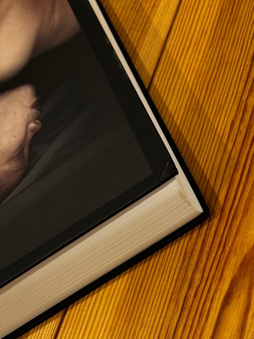 アート・デザイン・音楽 ANTIOINE D'AGATA ANTIBODIES