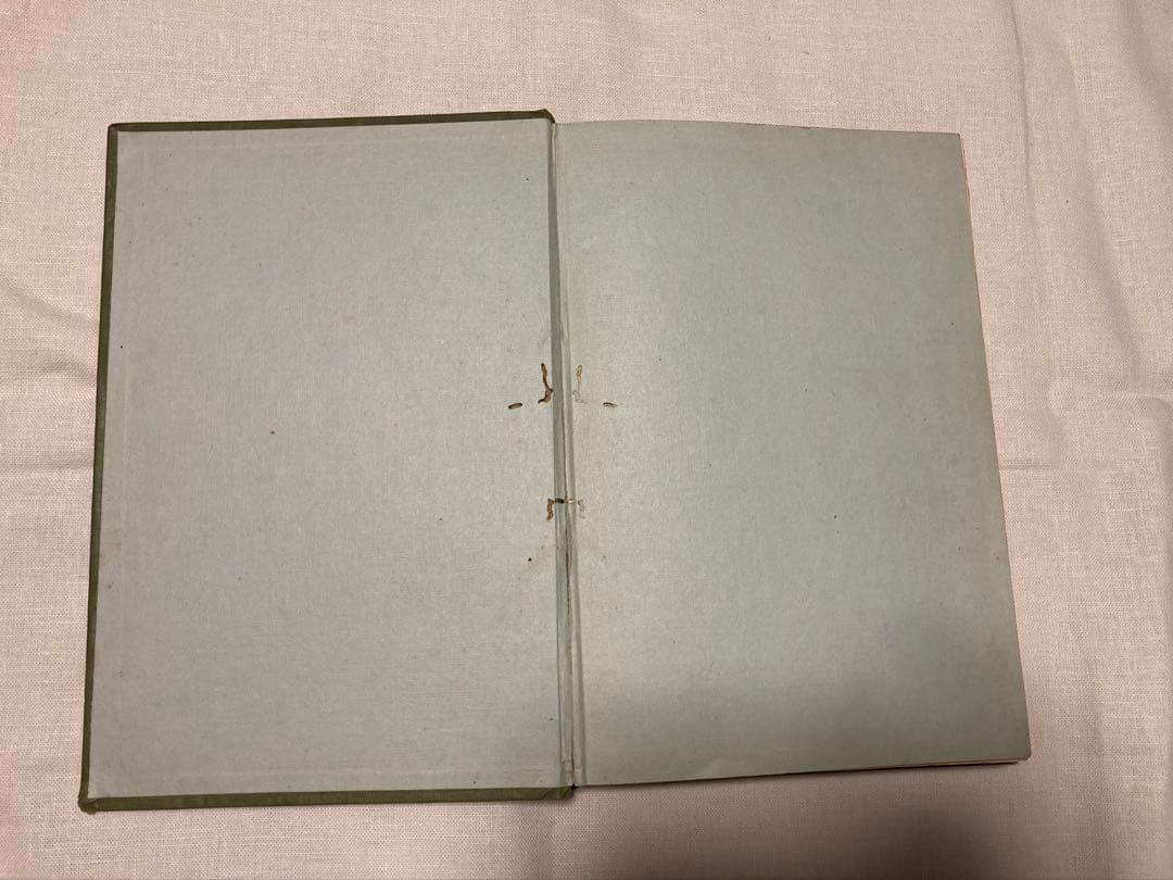 愛らしい子供服 西村光恵著