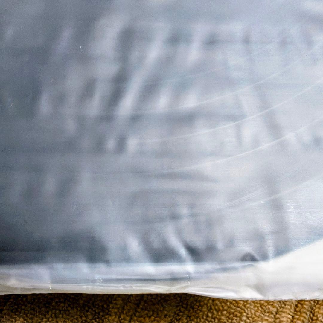 ビルスマ バッハ 無伴奏チェロ組曲全曲