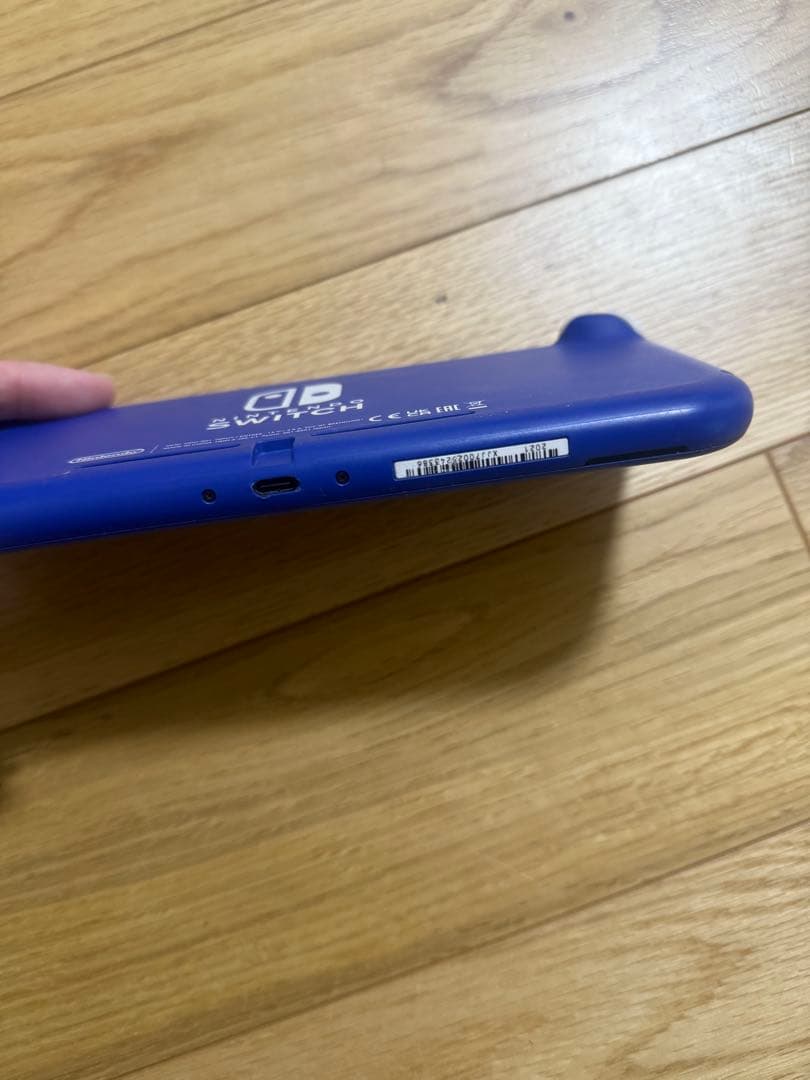 す*し様 Nintendo Switch Lite 青
