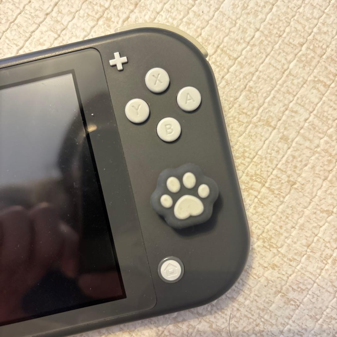 Nintendo Switch Lite グレー 充電器・イヤフォン付き