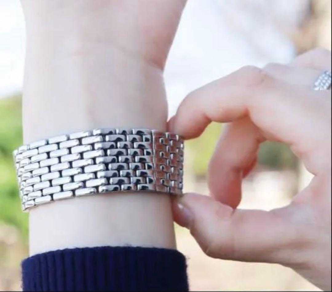 カルティエパンテールリュバン　Cartier コンプリート済（2024年11月）