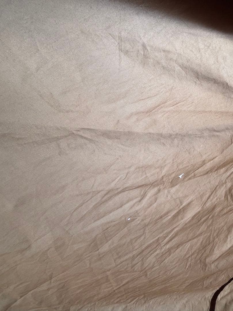 小川ヴィガス　ral