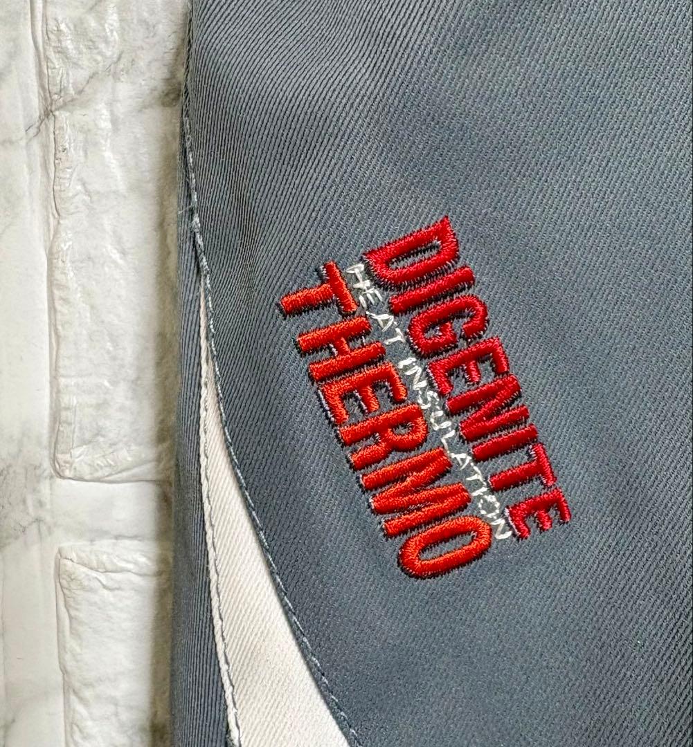 フェニックスphenixスキーウェア　スノボウェア　メンズ　XL