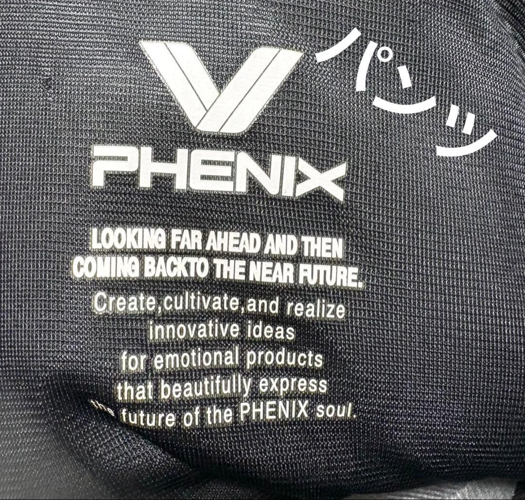 フェニックスphenixスキーウェア　スノボウェア　メンズ　XL