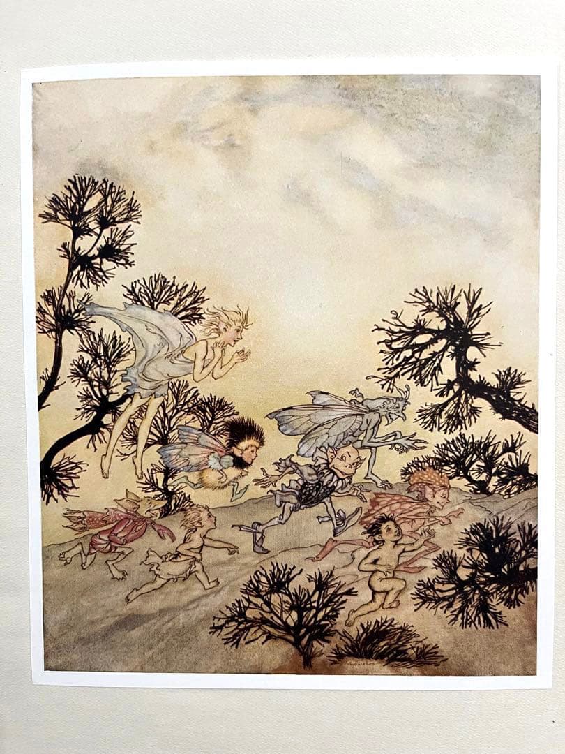 No213レア 超希少 初版　古書　アンティーク 洋書 アーサー·ラッカム