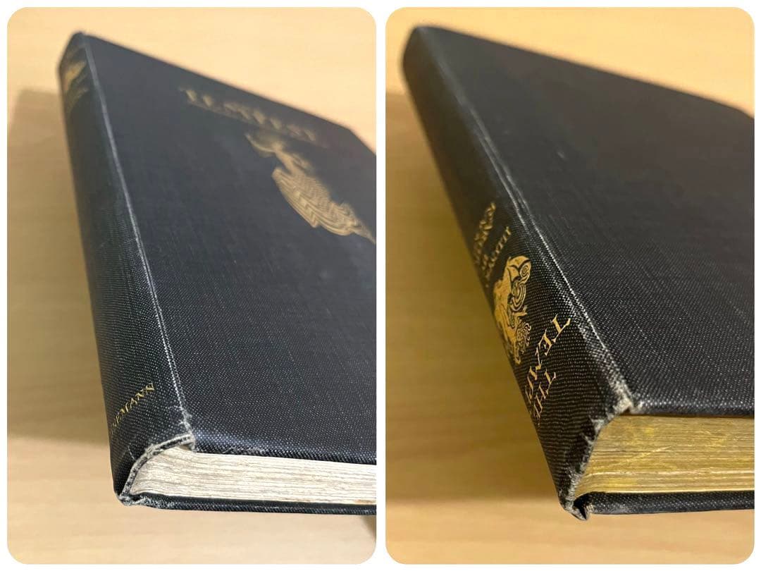 No213レア 超希少 初版　古書　アンティーク 洋書 アーサー·ラッカム