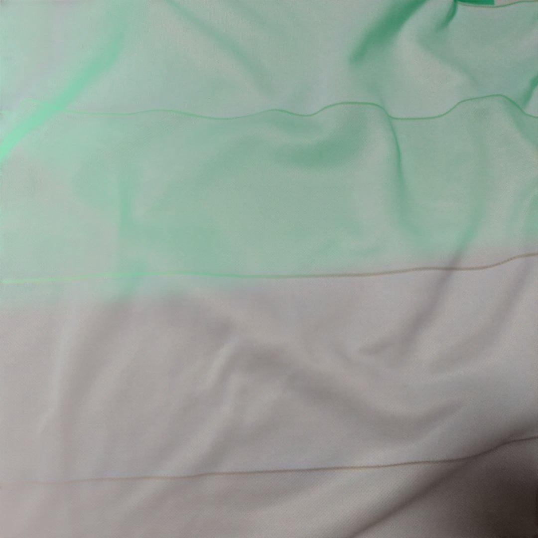 鹿島アントラーズ　ユニフォーム　支給品　2010 XL