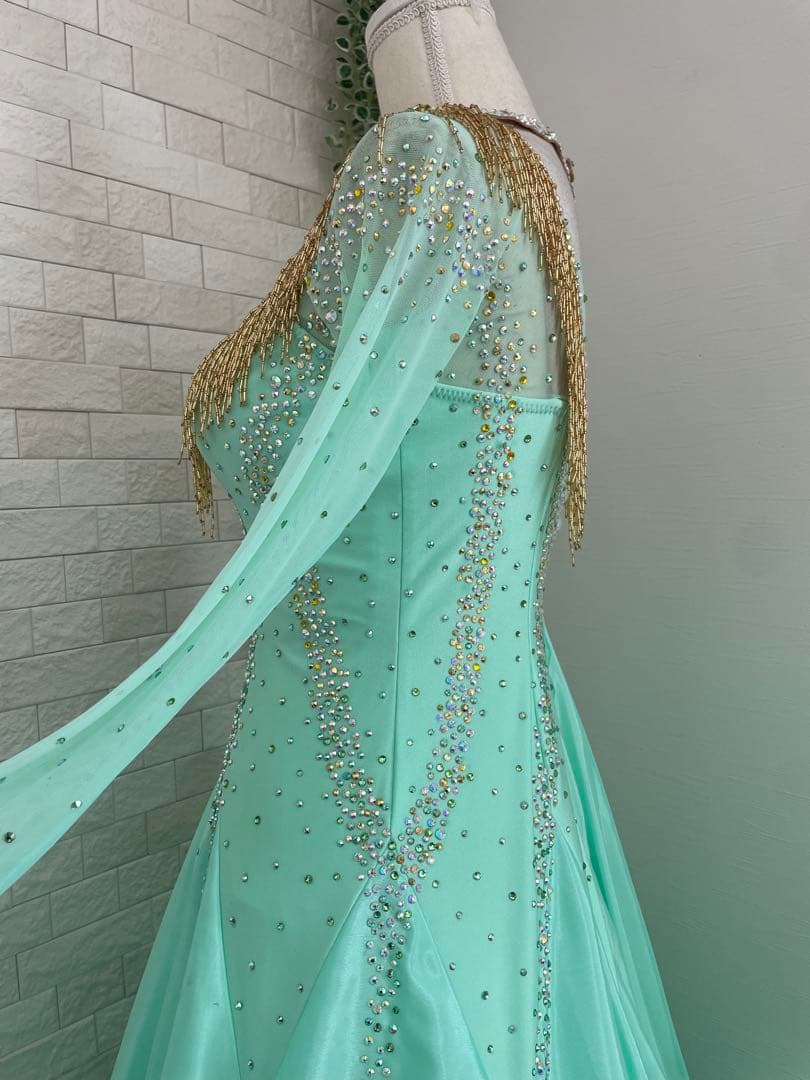 社交ダンス 【Chacott】スタンダードドレス ⭐️クリスアンクローバー生地使用