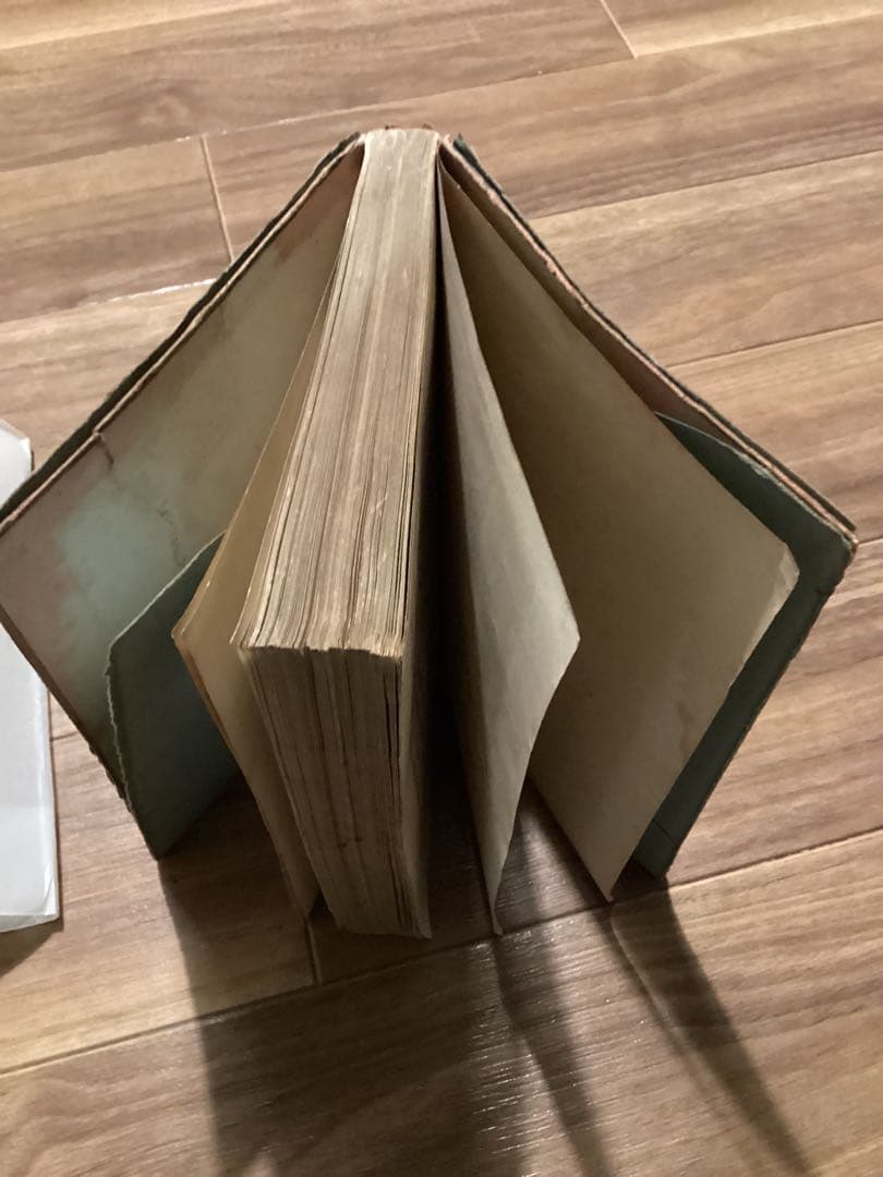 吉凶判断学　小野清秀