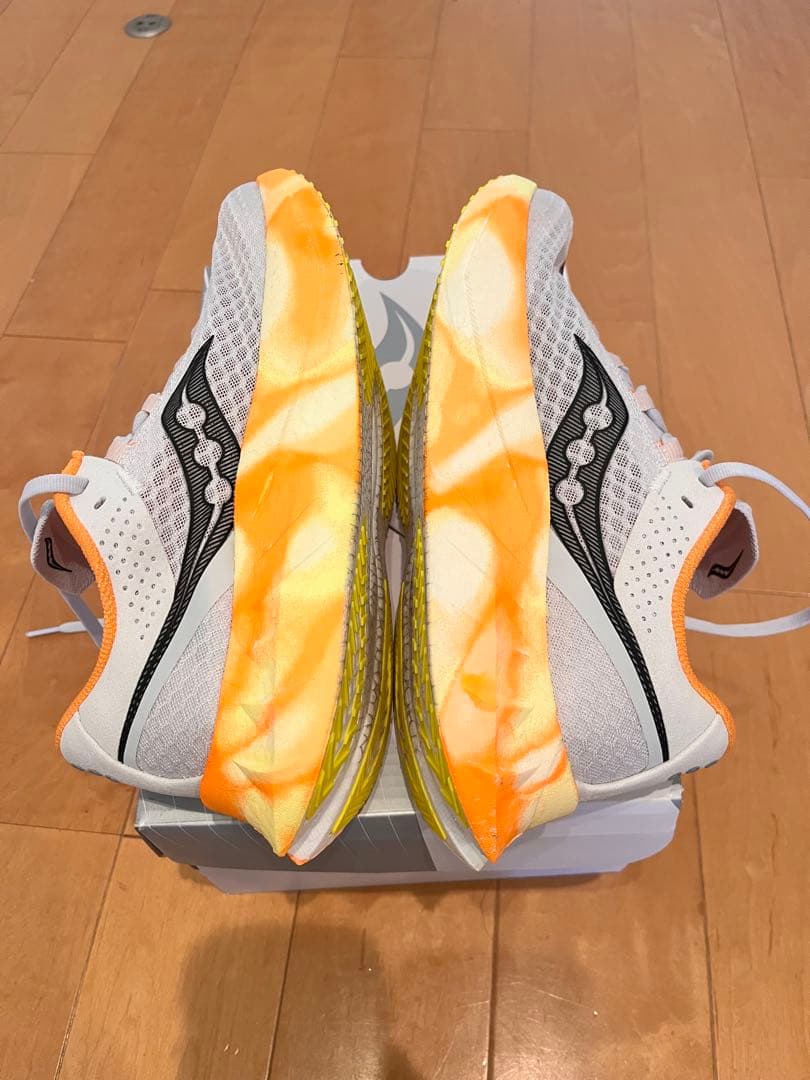 Saucony Endorphin Pro4 エンドルフィンプロ4 (25.5)