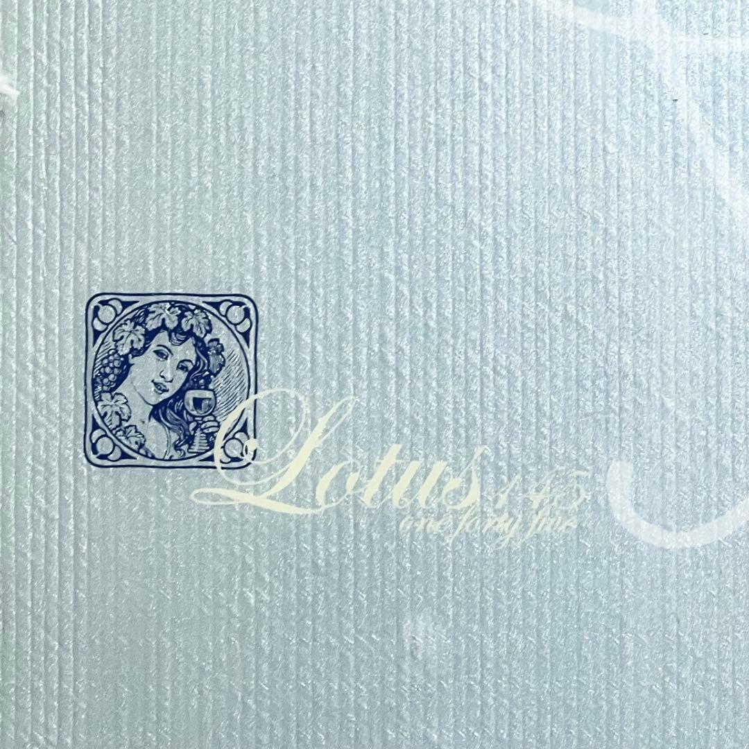 【美品】 Lotus ロータス 145 スノーボード　レディース morrow