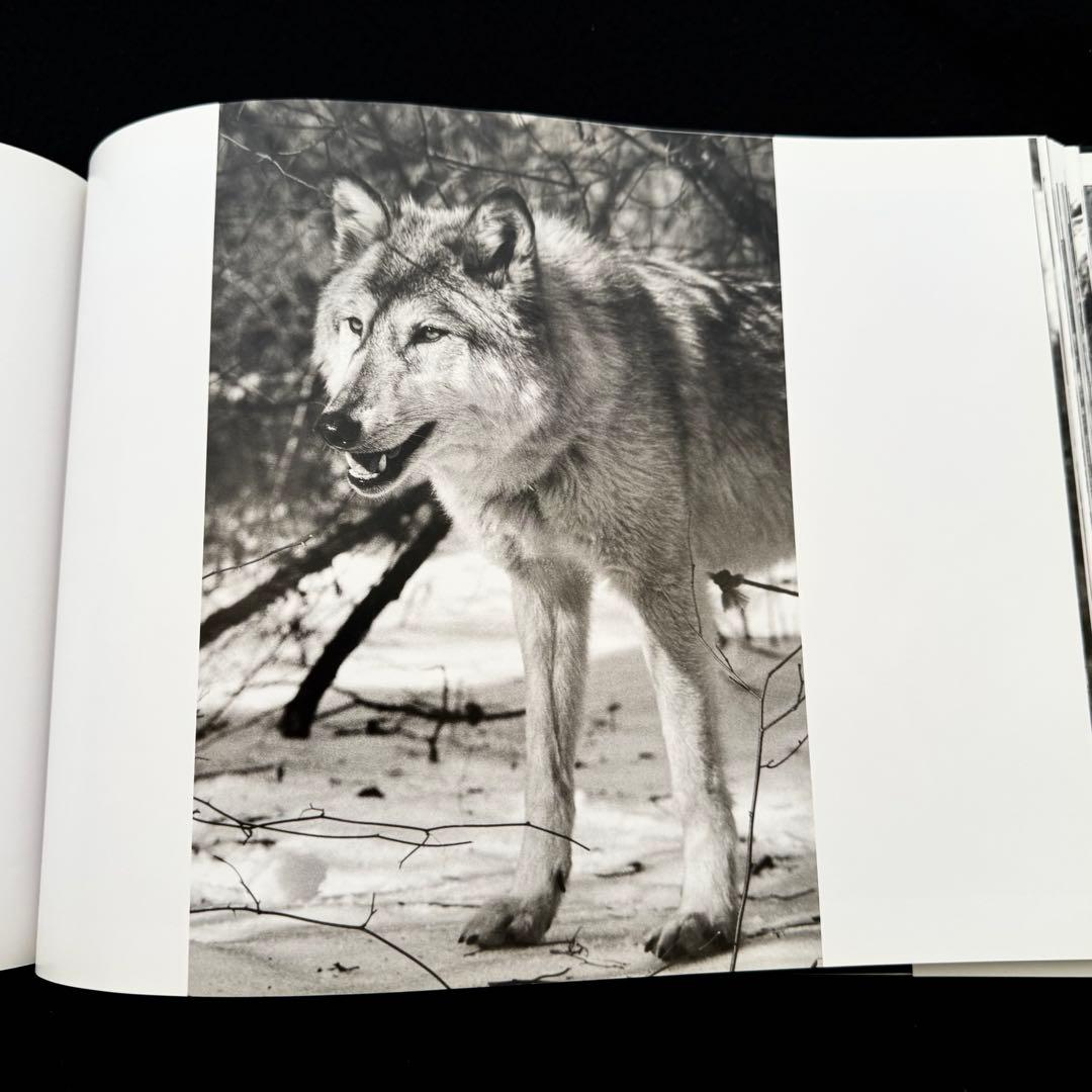 ウルフ 狼 写真集「Wolf Empire」Scott Ian Barry