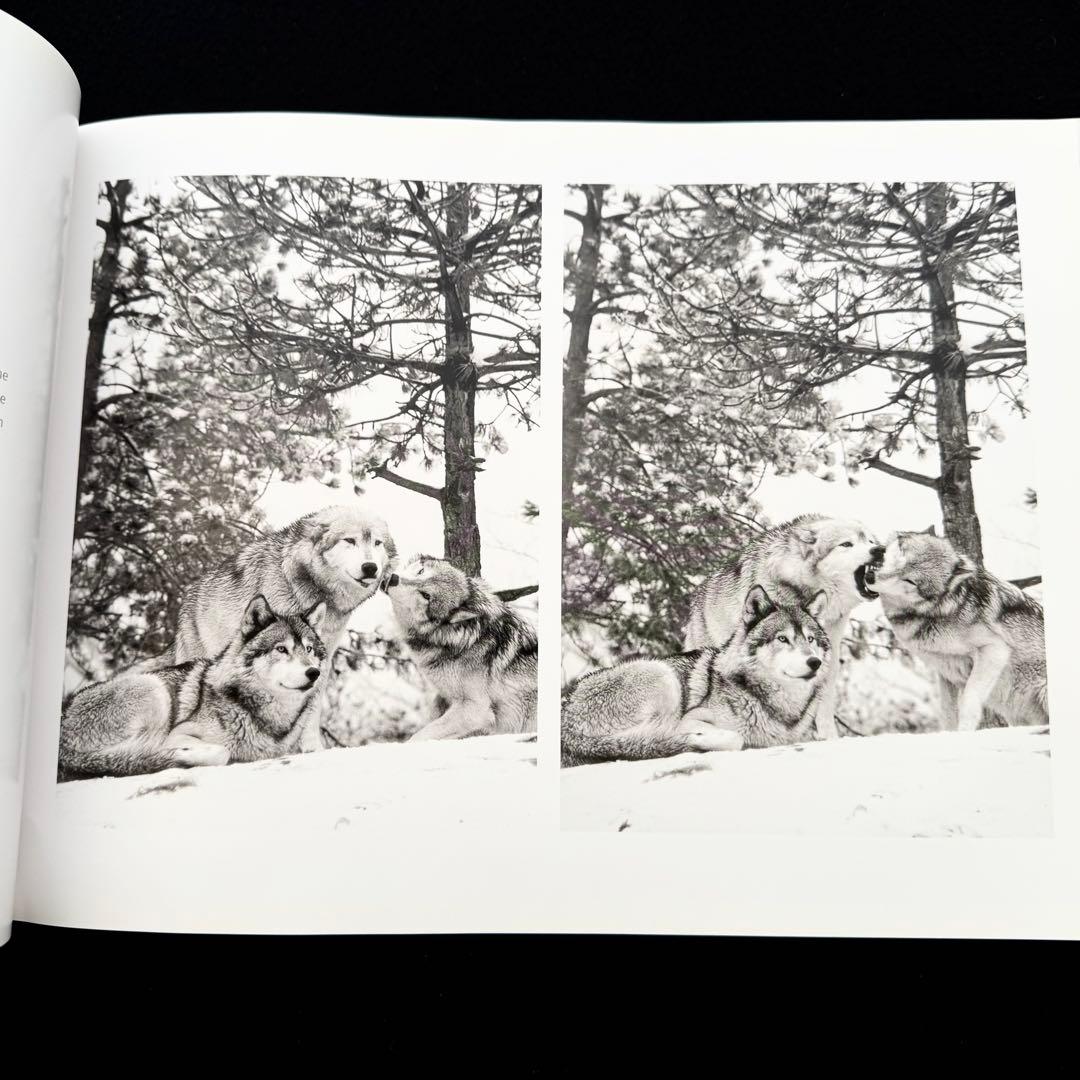 ウルフ 狼 写真集「Wolf Empire」Scott Ian Barry