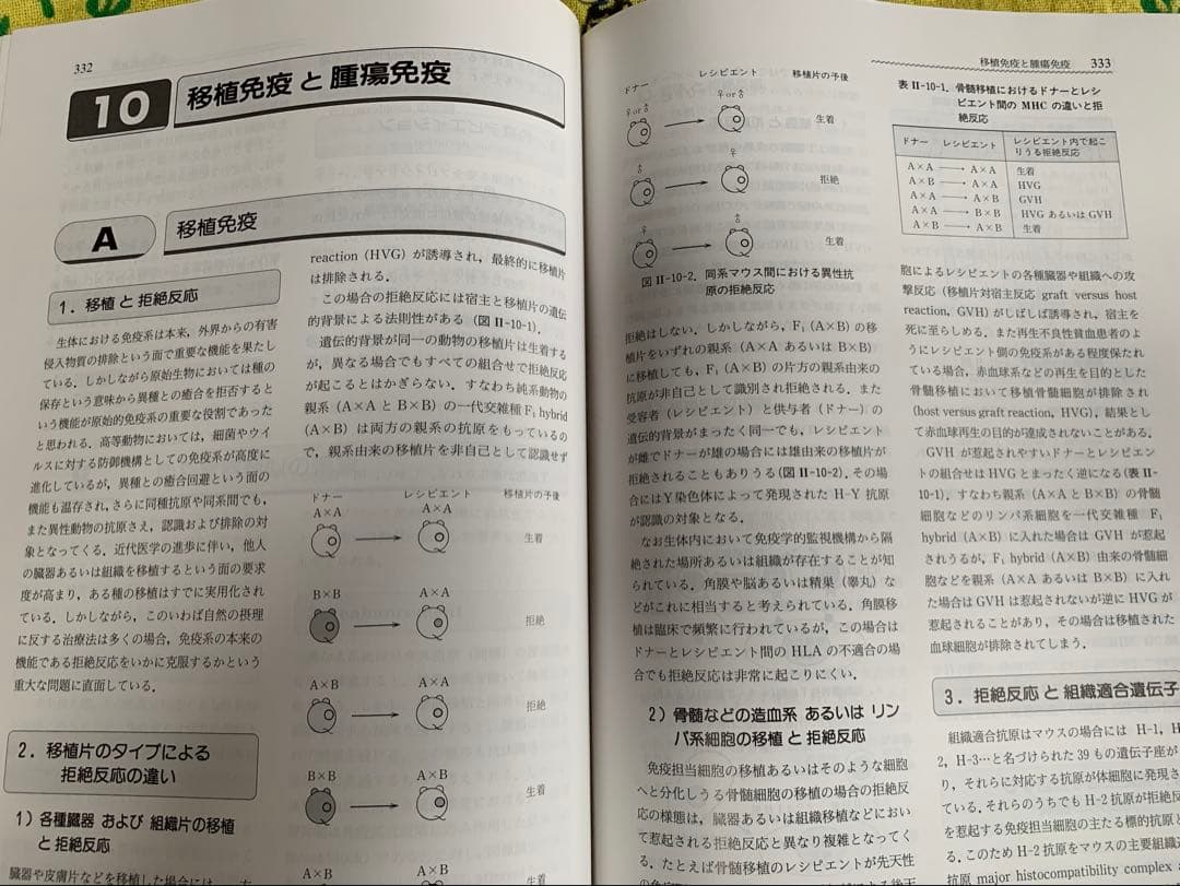⭐︎戸田新細菌学 第31版⭐︎