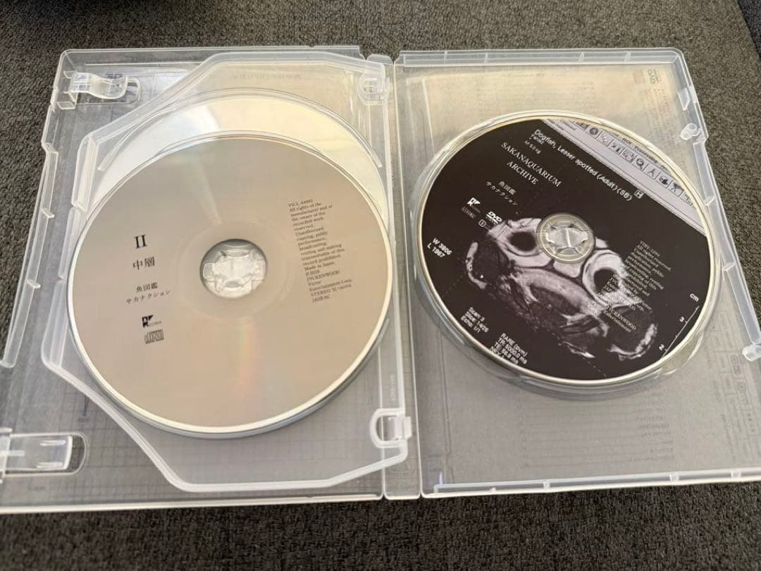 【美品】サカナクション 初回限定盤魚図鑑2CD+DVDチケットホルダー他