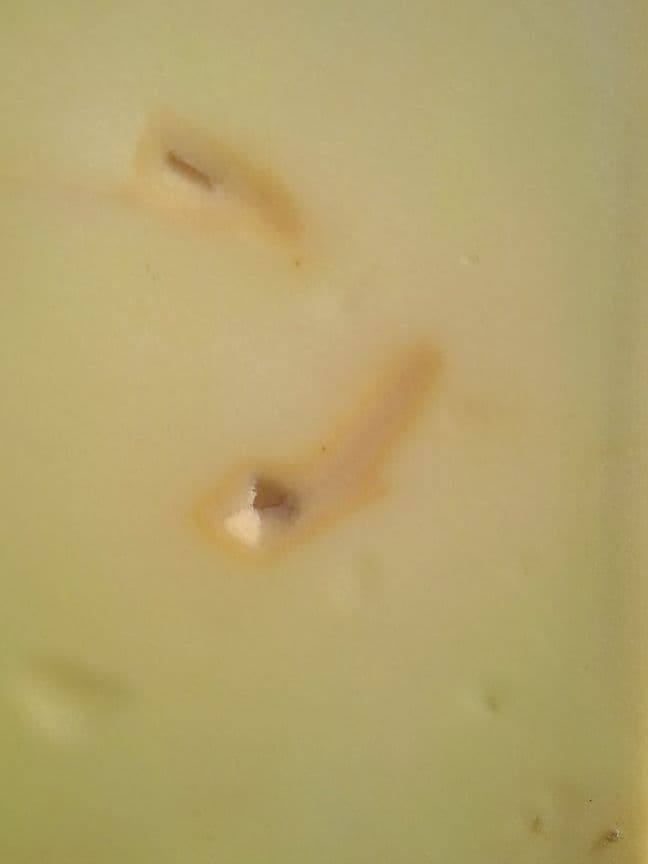 売り切り　Local Motionサーフボード