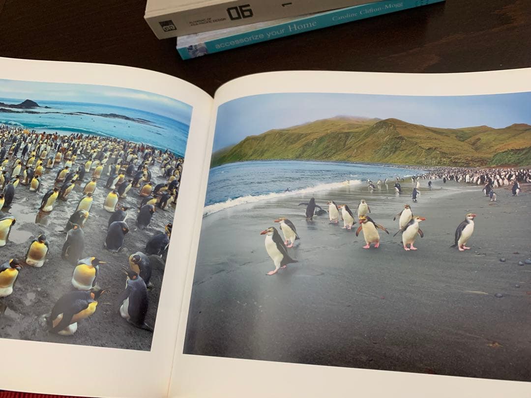 洋書 Australia Our  Paradise Ken Duncan