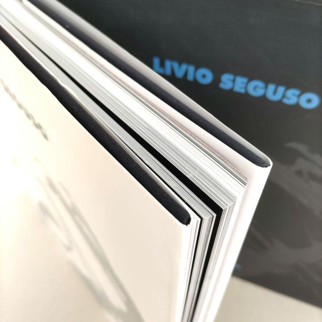 Livio Seguso/リヴィオ・セグソ 作品集 ガラス彫刻 アート 洋書