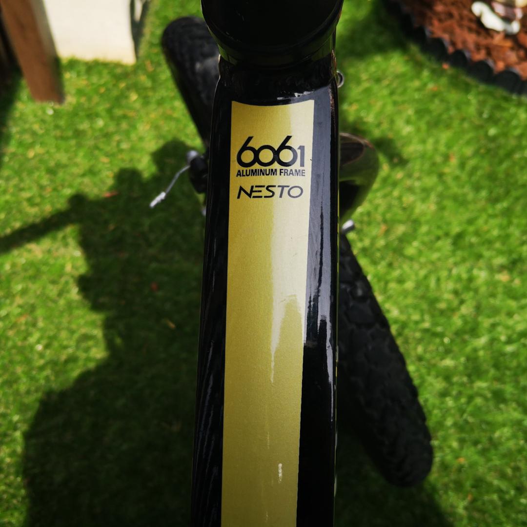 2023年購入 NESTO X-VALLEY KID 20インチ マウンテン