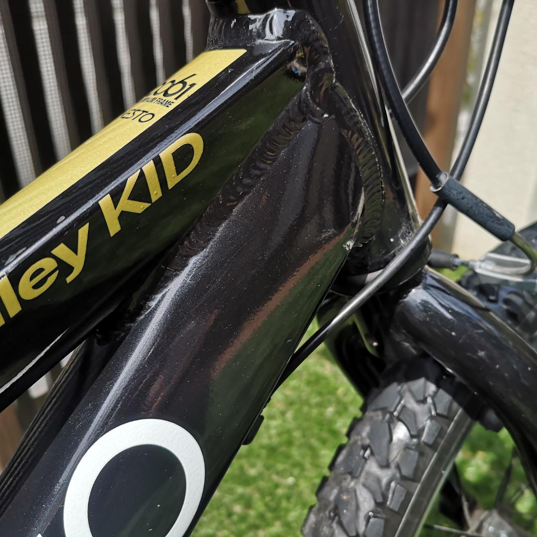 2023年購入 NESTO X-VALLEY KID 20インチ マウンテン