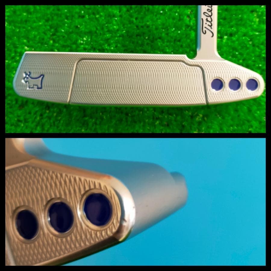 キャメロン select NEWPORT2ドッグ！セレクト ニューポート カラー