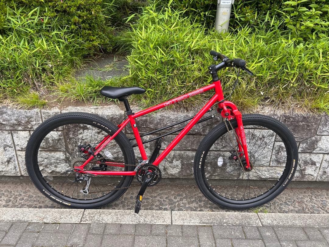 【ジャンク品】TWO RING 29インチ二輪駆動マウンテンバイク