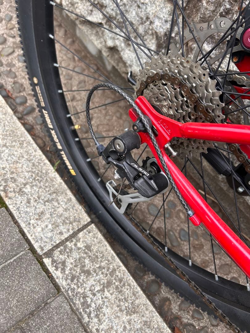 【ジャンク品】TWO RING 29インチ二輪駆動マウンテンバイク