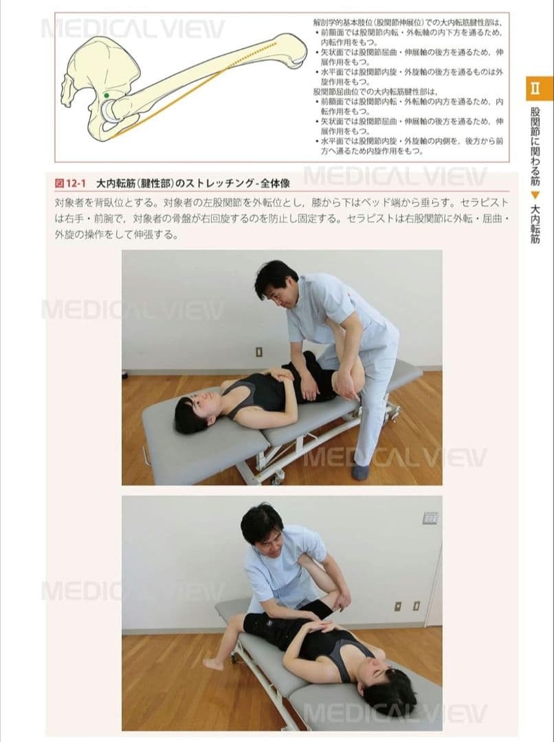 新品★機能解剖学的ストレッチング★上肢　下肢・体幹セット★配送無料