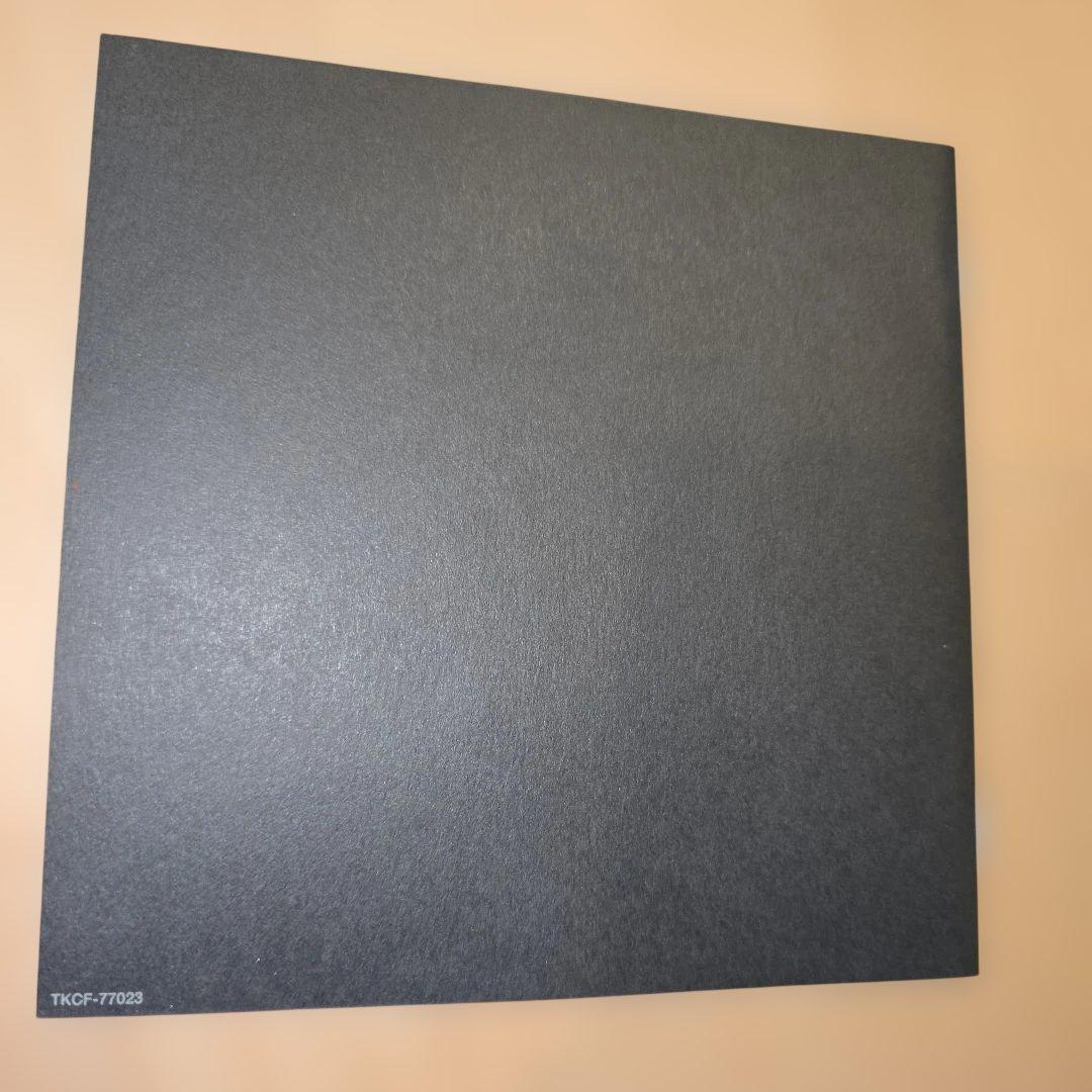 灰野 敬二　こんなになってもまだ考えている