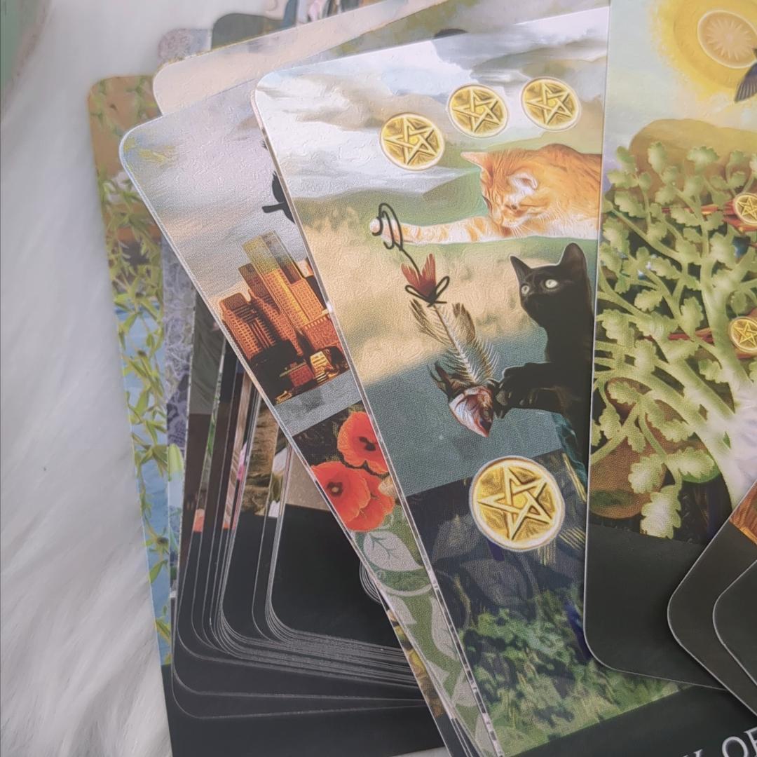 【正規品タロットカード】セール特価品✨好奇心旺盛な猫たちのデッキ