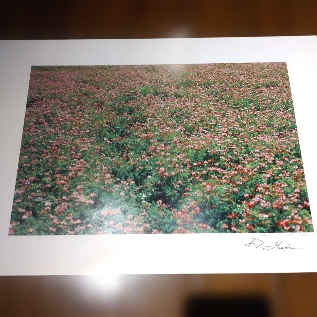 平和と文化の光 (VOL.3) 池田大作写真集